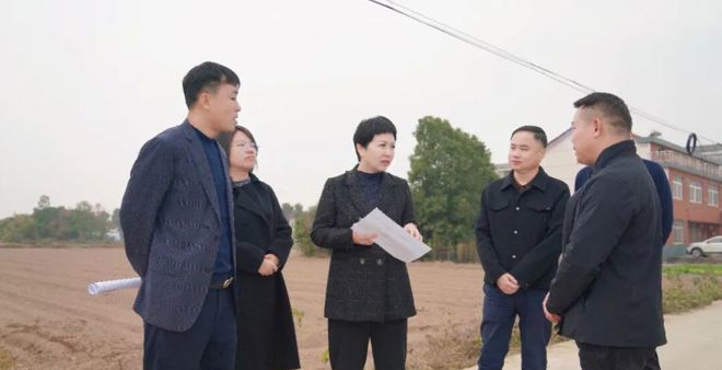 伍彩霞调研乡村振兴、耕地保护、秸秆综合利用工作并开展巡河巡林