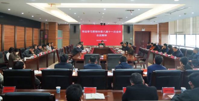 柳叶湖旅游度假区传达学习市委八届十一次全体会议精神