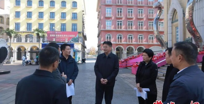 罗毅君带队调研常德河街西街国有资产盘活相关工作