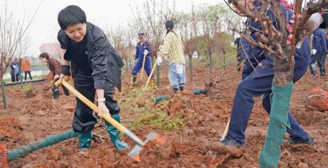 柳叶湖旅游度假区开展2026年义务植树活动