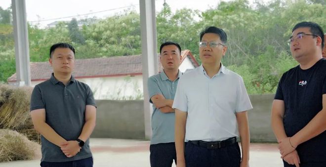 贺吉敏督导生态环保、安全生产等工作